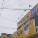 별난복어 이미지