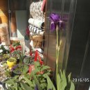 경북지업사 이미지