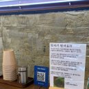 피제리아노이 이미지