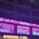 핑키펑키 광안점 이미지