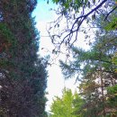 이안뜰어린이집 이미지