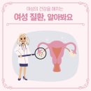 루아산부인과의원 | 광교중앙역산부인과 여성질환에 대해서