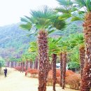 푸른바다 이미지