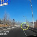 원곡다문화파출소 이미지