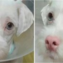 은혜주유소 이미지