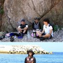 삼시세끼 이미지