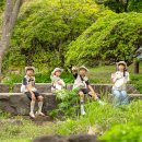 호텔신라제주 이미지