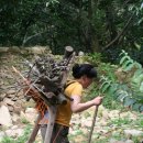 지개동산 이미지