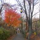 홍록배드민턴장 이미지