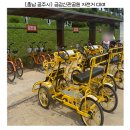 불노천자전거길 | 공주 금강신관공원 미르섬 무료 자전거 대여 후기 주차장 산책코스까지
