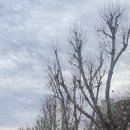 큰고개로 | 251231. 12월의 마지막