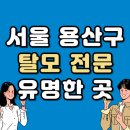 이촌2동주민센터 | 서울 용산구 탈모 전문 병원 두피 탈모관리 잘하는 곳 추천 List