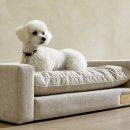 까사푸드 이미지