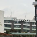 서울서일초등학교 | 국제전자센터_방쿠지 실시간 현황판(체인소맨 레제피규어,진격의거인,주술회전 등)