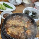 도올생고기 - 김포시 김포한강1로78번길 23-8 | 도올생고기