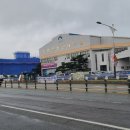 양평유도체육관 | 2023 양평 몽양컵 전국유도대회 7.14(목)남녀대학 일반부 중량급 예선전 후기