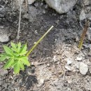 인비농장 이미지