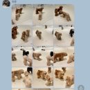 개러리아 송파점 이미지