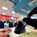 참치데이 이미지