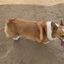 죽빵훈련소 이미지