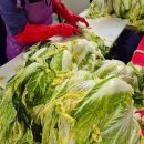 둔율올갱이영농조합법인 | 2025 괴산 김장축제에서 김치 냄새에 취하다(11/6)ㆍ한국 김치는 한국인의 것이다.