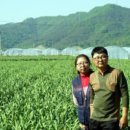 최은희 농장 이미지