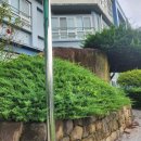 창원 외동지석묘 이미지