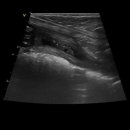 24시 위너스동물의료센터 이미지