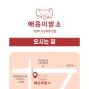 애옹이발소 이미지