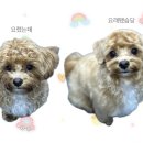 장미미장원 이미지