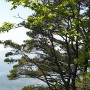 의령-의령-의령-D-4 이미지