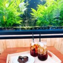 엔젤인어항 이미지