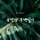 치코린도
