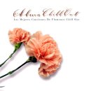 [연속듣기-라운지 뮤직] 휴식의 음악 앨범&#34;Alma Chill Out-Las Mejores Canciones De Flamenco Chill Out&#34; CD2 수록 14곡 이미지