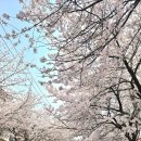 합정한강공인중개사사무소 이미지