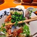 거북이의 꿈 이미지