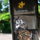 강원도립화목원 이미지