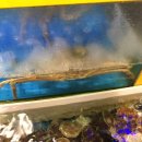 독도횟집 이미지