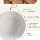 루미로사 | 천안 불당동 강아지 화식 수제간식 루미루 재방문 후기