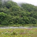 구룡산민박 이미지