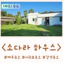 소다라하우스 이미지