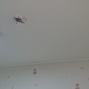 삼일무지개 이미지