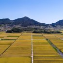 소라면 가사리 이미지