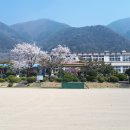 자천초등학교보현분교장 이미지