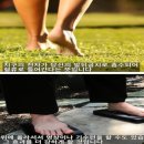 라온펄스