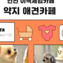 약지애견카페 이미지