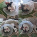 계명세탁소 | 📚2026년01월 독서결산