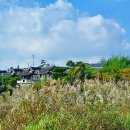 한옥호텔영산재 이미지