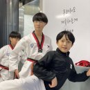 안중 푸르미르 태권도장 이미지
