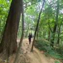 우면산3-27 이미지